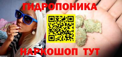 прущие грибы Моздок