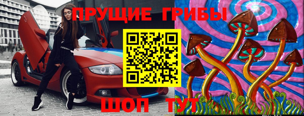 Курск  Галлюциногенные грибы мицелий  Вход с VPN  Псилоцибиновые грибы Psilocybine cubensis 